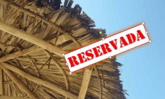 Palapa reservada